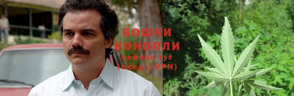 PSILOCYBIN Волоколамск