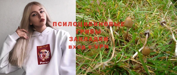 ГАЛЛЮЦИНОГЕННЫЕ ГРИБЫ Володарск