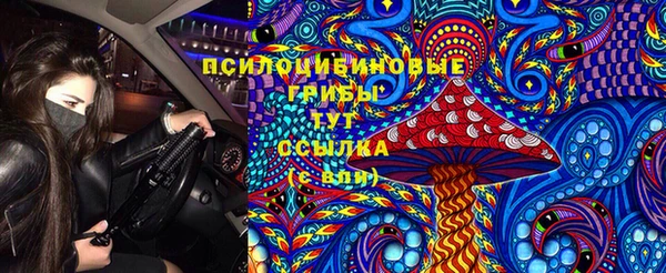 ГАЛЛЮЦИНОГЕННЫЕ ГРИБЫ Володарск