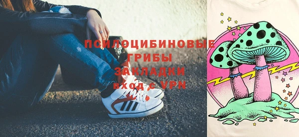 ГАЛЛЮЦИНОГЕННЫЕ ГРИБЫ Володарск