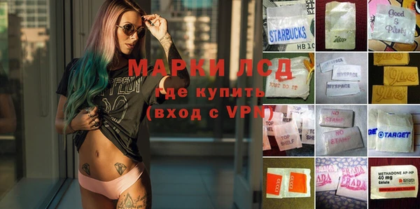 ГАЛЛЮЦИНОГЕННЫЕ ГРИБЫ Володарск