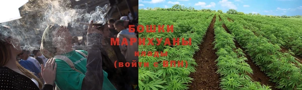 ГАЛЛЮЦИНОГЕННЫЕ ГРИБЫ Володарск